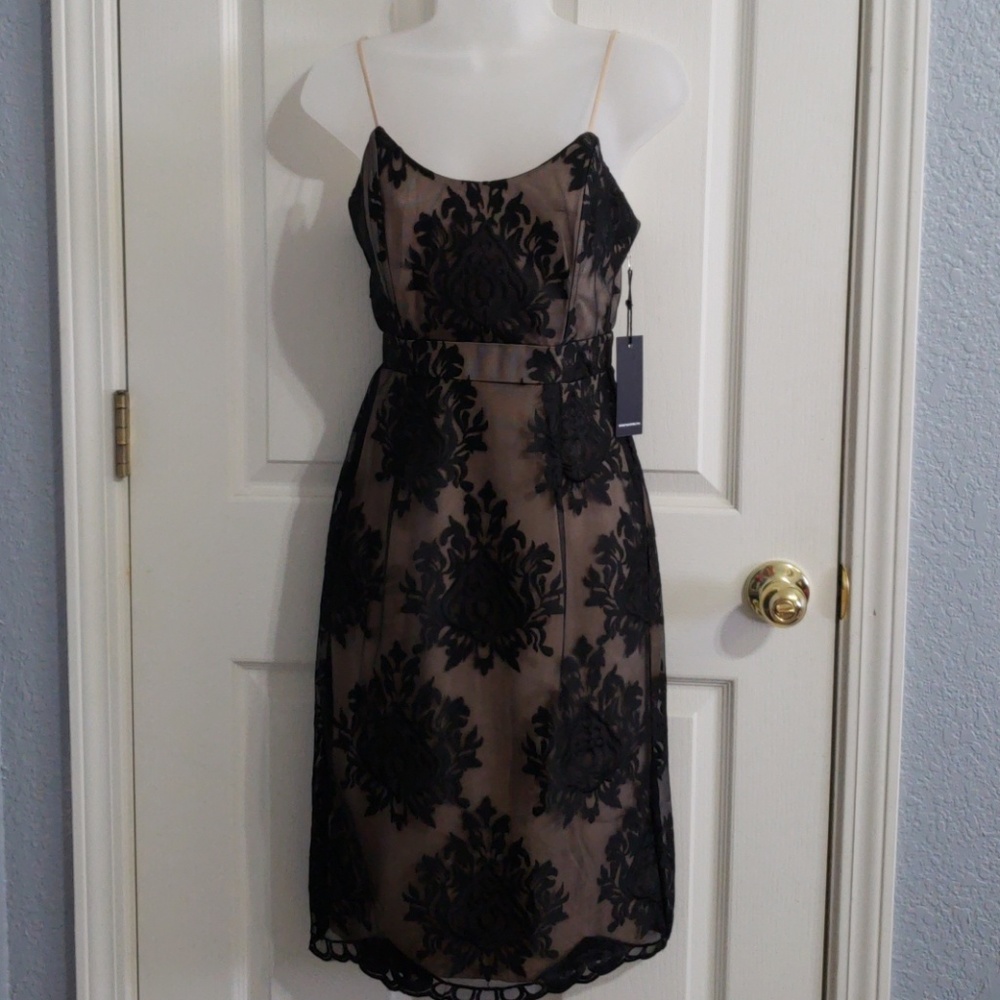Black and nude lace dress